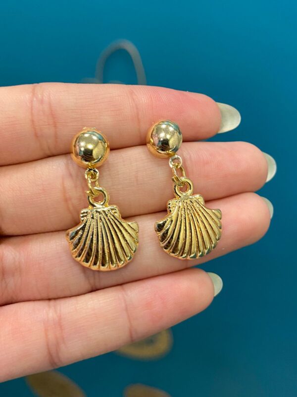 Conjunto oceano varias conchas - Imagem 4