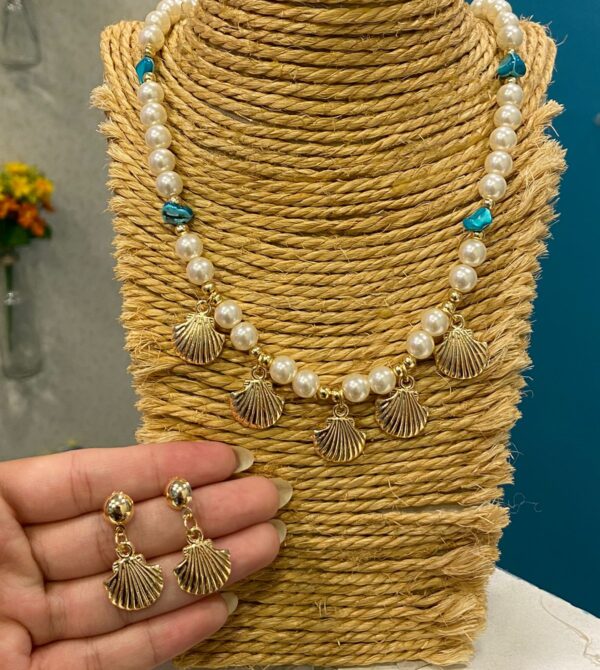Conjunto oceano varias conchas