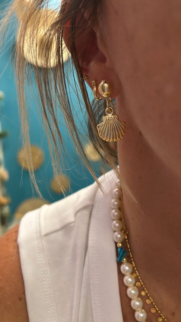 Conjunto oceano varias conchas - Imagem 3