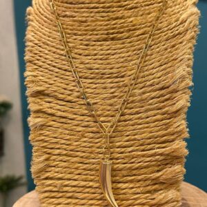 Colar corrente cart dente de sabre